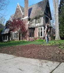 Stump removal, soil and seeding service