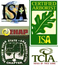 International Society of Arboriculture, Certified Arborist, Electrical Hazzard Awareness Program, NYS Arborist Chapter Member,Tree Care Industry Association